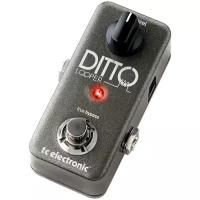 Педаль эффектов для электрогитары TC Electronic Ditto Looper, TC Electronic (ТиСи Электроник)