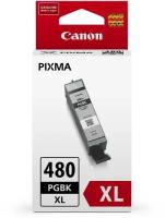 Canon Расходные материалы PGI-480XL PGBK 2023C001 Картридж для PIXMA TS6140 TS8140 TS9140 TR8540, 400 стр. пигментный чёрный