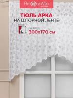 Тюлевая арка Amore Mio жаккард, белый, 300х170 (73706)