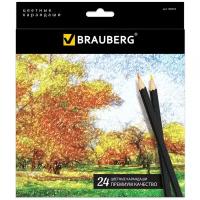 BRAUBERG Цветные карандаши Artist line 24 цвета (180565)