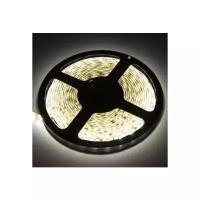 Cветодиодная лента Ecola PRO 5 м, IP65, SMD2550, 60 LED/м, 19 Вт/м, 12 В, 6000К