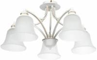 Люстра потолочная Arte Lamp EMMA A2713PL-5WG