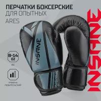 Перчатки боксерские INSANE ARES IN22-BG300, кожа, черный, 8 oz