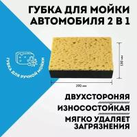 FOX CHEMIE/ Губка двухсторонняя для мойки авто 2 в1 Fox Chemie, крупнопористая, 19х13х5 см