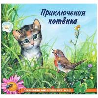 ПознаемМирВокругНас(Фламинго)(о) Приключения котенка (Гурина И.В.)