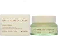 MIZON PHYTO PLUMP COLLAGEN DAY CREAM Дневной крем для лица с фитоколлагеном