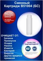 Картридж для жесткой воды В51004 (БС) из ионообменной смолы к фильтрам Аквафор, Барьер Профи, Гейзер Стандарт и др. систем 10SL от накипи