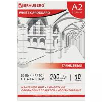 Картон белый большого формата, А2 мелованный (глянцевый), 10 листов, в папке, BRAUBERG, 400х590 мм, 124764