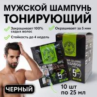 MEN’S MASTER / Окрашивающий шампунь для волос, мужской, оттеночный, тонирующий, для всех типов волос, чёрный, 10 шт по 25мл