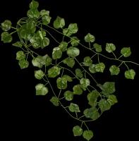 Искусственное растение Лиана Плющ вечнозеленый h230 см ПВХ цвет зеленый
