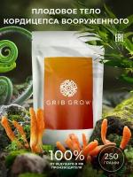 Кордицепс вооруженный плодовое тело Grib Grow - 250 грамм