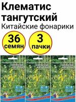 Клематис стангутский Китайские фонарики 12шт, Уральский дачник - комплект 3 пачки