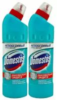 DOMESTOS 500мл Свежесть Атлантики (2 шт в наборе)