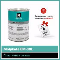 Пластичная смазка Molykote EM-30 L (1 кг)