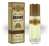 Delta parfum Туалетная вода мужская CIGAR'S BRANDY, 100 мл