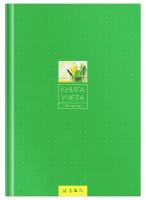 Книга учета OfficeSpace А4, 96 листов, линия, 200х290 мм, твердый переплет, 7БЦ, блок газетный (153187 / CL-98-726)