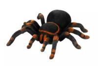 Cute Sunlight Toys Робот паук Tarantula на пульте управления Cute Sunlight Toys 781 ()