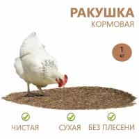 Ракушка для с/х птиц,/Минеральная добавка для с/х животных