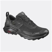 Кроссовки Salomon X RAISE GTX (UK 7.5; EUR 41 1/3; USA 8; 26 см)