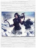 Картина по номерам на холсте игра Rise of the Tomb Raider (PS, Xbox, PC, Switch) - 11033 Г 30x40