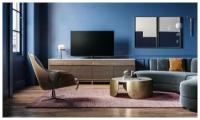 OLED телевизоры Loewe bild v.55 dr+ (60411D50)