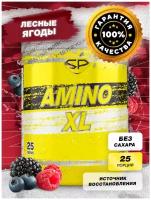 BCAA STEELPOWER Amino-XL цитруллин, таурин, бета аланин, лесные ягоды, 250 гр