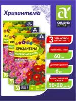 Семена Хризантема Корейская смесь Многолетние 0,02 гр. х 3 шт