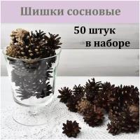 Шишки сосновые для рукоделия, декора, поделок и новогодних веночков 50 шт