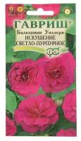 Семена цветов Гавриш Бальзамин Уоллера "Искушение светло-пурпурное" F1, 5 шт