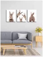 Картины на холсте с подрамником LOFTime 3 шт смешные кролики К-310-3040