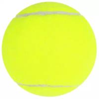 ONLYTOP Мяч для большого тенниса № 969, тренировочный, микс