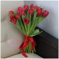 Цветы живые букет из 25 красных тюльпанов с атласной лентой