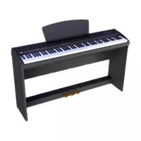 Цифровое пианино Sai Piano P-9BT черный