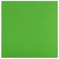 Gamma Premium фетр декоративный 33 х 53 см FKS12-33/53 1 866 ярко-зеленый 53 мм 33 мм 1 мм 43 г