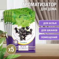 Greenfield / Ароматизатор для дома Фруктовая композиция Black Currant / Черная смородина 5 ШТ