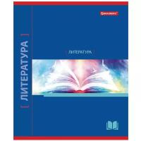 BRAUBERG Тетрадь предметная Navigator. Литература 403544, линейка, клетка, 48 л., 10 шт., синий