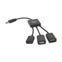 USB-концентратор KS-is OTG 2xUSB 2.0 MicroUSB F - USB Type C M KS-319