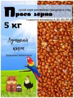 Просо сухой корм зерно для попугаев птиц мелких грызунов для роста и развития