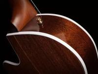 Godin arena pro cw bourbon burst crescent ii электроак. клас-я. гитара, чехол, цвет коричневый