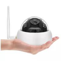 Купольная Wi-Fi IP-камера - Link-D25W-8G - видеонаблюдение система частный дом / комплект системы видеонаблюдения