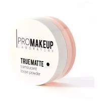 Пудра-финиш прозрачная PROMAKEUP laboratory рассыпчатая - TRUE MATTE - тон 1001