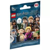 Конструктор LEGO Collectable Minifigures 71022 Гарри Поттер и Фантастические твари, 8 дет