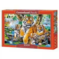 Пазл Castorland Семья тигров у ручья (C-104413), 1000 дет