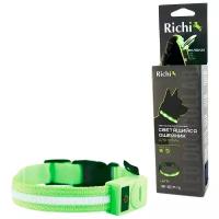 Для ежедневного использования ошейник Richi Led нейлоновый S