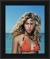 Плакат, постер на бумаге Shakira-Шакира. Размер 42 х 60 см