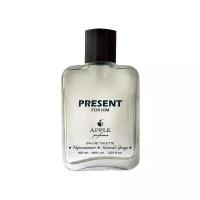 Apple Parfums туалетная вода Present for Him, 100 мл