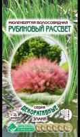 Семена Мюленбергии волосовидной "Рубиновый рассвет" (5 семян)