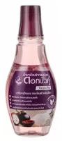 Ополаскиватель для полости рта с мангустином и солью Twin Lotus Herbal Mouthwash Mangosteen & Salt 250ml