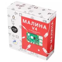 Конструктор Амперка Малина AMP-S056 V4 (4 ГБ)