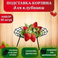 Подставка для клубники, опора садовая, "Корзина", 40 штук